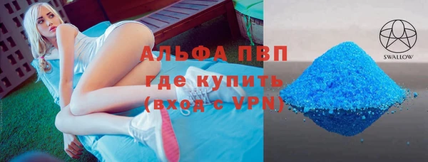 индика Алзамай