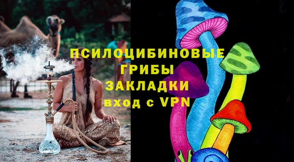 PSILOCYBIN Арсеньев