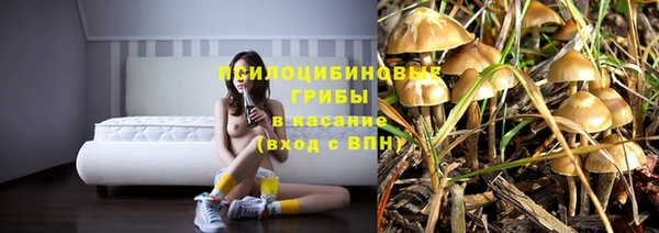 спайс Аркадак